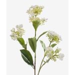 Hortensia falsa ALAZNE, crema, 75cm