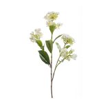 Hortensia falsa ALAZNE, crema, 75cm