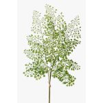 Rama de helecho artificial adiantum HALIMA, verde, 60cm