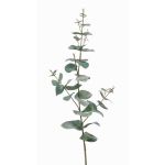 Rama de eucalipto artificial CALLIOPE, verde-gris, 70cm