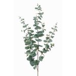 Rama de eucalipto artificial CALLIOPE, verde-gris, 115cm