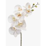 Rama de orquídea Phalaenopsis de imitación NEITH, blanca, blanco, 75cm, Ø7-10,5cm