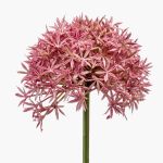 Allium de plástico ARNAU, fucsia, 60cm
