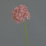 Allium de plástico ARNAU, fucsia, 60cm