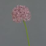 Allium de plástico ARNAU, violeta, 60cm