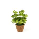 Trébol artificial NICCOLO en maceta decorativa, verde, 25 cm