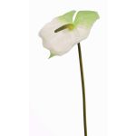 Flor artificial anthurium MOIRA, blanco-verde, 75cm, 13x18cm