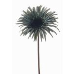 Gerbera artificial SIEDA, azul-verde, 65 cm, Ø 12 cm