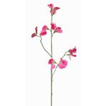 Flor decorativa Lathyrus ASFALOTH, rosa intenso, 65 cm, Ø 3-5 cm