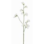 Flor decorativa Lathyrus ASFALOTH, blanca, 65 cm, Ø 3-5 cm