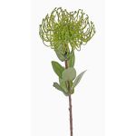 Alfiletero artificial de protea BAILY, verde, 55 cm, Ø 10 cm