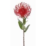 Alfiletero artificial Protea BAILY, rojo, 55 cm, Ø 10 cm