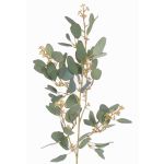 Rama decorativa de eucalipto COBAR, en flor, crossdoor, verde, 65cm, Ø1,5cm