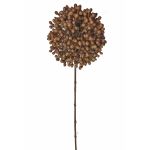 Flor seca de allium BOCELLI, marrón, 70cm, Ø14cm