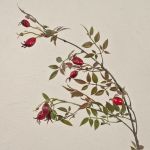 Rama de rosas silvestres artificiales WARDALIA con escaramujos, roja, 95cm