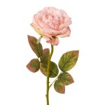 Flor decorativa rosa DRINT, aspecto seco, rosa, 60cm, Ø10,5cm