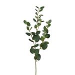 Rama artificial de eucalipto JINVAL, verde, 80 cm