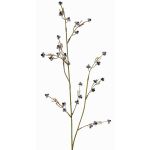 Rama decorativa de Stirlingia latifolia COLLAN, blanco y negro, 75 cm, Ø 1 cm