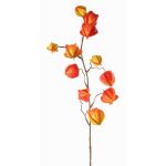 Rama decorativa de physalis PERSEI con frutos, naranja, 80cm