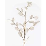 Rama decorativa de lunaria BUELNA, color crema, 105cm