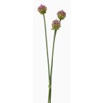 Kunstblumen Allium Blüten Bund LAMDA, violett-grün, 65cm, Ø4cm