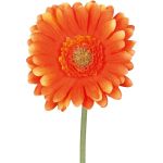 Gerbera artificial TUNZA, naranja, 50cm