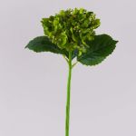 Hortensia sintética MYNMAR, verde, 35cm, Ø14cm
