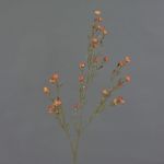 Flor de cera sintético NIANG, naranja-rojo, 80cm, Ø1,5-2,5cm