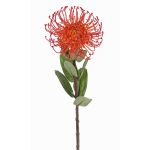 Alfiletero artificial Protea BAILY, naranja, 55 cm, Ø 10 cm