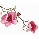 Rama decorativa de magnolia KOSTAS, rosa-fucsia, 55 cm, Ø 6-8 cm