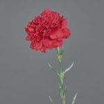 Flor artificial de clavel NIRUSHA, roja, 65 cm, Ø 9 cm