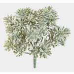 Deko Crossostephium ALGOL, Steckstab, crossdoor, grau-grün, 20cm