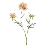 Deko Zweig Scabiosa MARUA, pfirsich, 80cm
