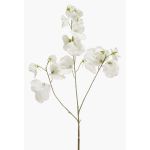 Künstliche Blume Duftwicke KANZI, weiß, 75cm, Ø4-7cm