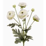 Rama decorativa de ranúnculo HIBBA, color crema, 65 cm, Ø 5-7 cm
