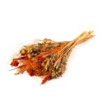 Ramo de espigas secas COVENTINA, naranja-natural, 65cm, Ø23cm