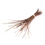 Ramitas de roble KAUKO en manojo, natural, 40-70cm