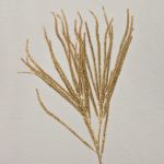 Künstlicher Zedernzweig THEOBALD, Glitzer, gold, 60cm