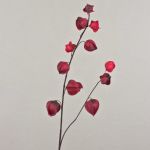 Rama de plástico de Physalis MARCY, frutos, rojo burdeos, 95 cm