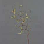 Rama de avellano de plástico XANCHO con amentos, marrón, 65cm