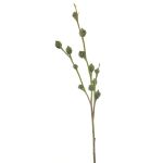 Dekozweig Eukalyptus SHANSHAN mit Früchten, grün, 60cm