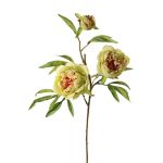 Pfingstrosen Zweig künstlich MANJA, grün-pink, 70cm, Ø8-10cm