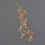 Künstlicher Cattleya Orchideenzweig TRASSA, orange-gelb-rot, 80cm, Ø4-8cm