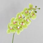 Rama textil de orquídea Phalaenopsis OPHELIA, verde-rosa, 100cm