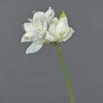 Amarilis de plástico BENITA, blanco, 55cm, Ø10cm