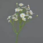 Margarita de plástico BELINA, blanca, 30cm, Ø1cm