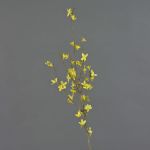 Rama de forsitia falsa IHRANI, floración, amarillo, 90cm