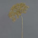 Pie de oso planta de plástico ANSARI, marrón, 80cm, Ø22cm