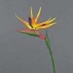 Estrelicia artificial LATIFA, naranja-morado, 80cm, 17x20cm