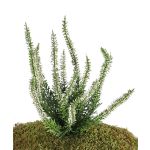Brezo de plástico IMKE con palo, crema, 25cm, Ø1cm